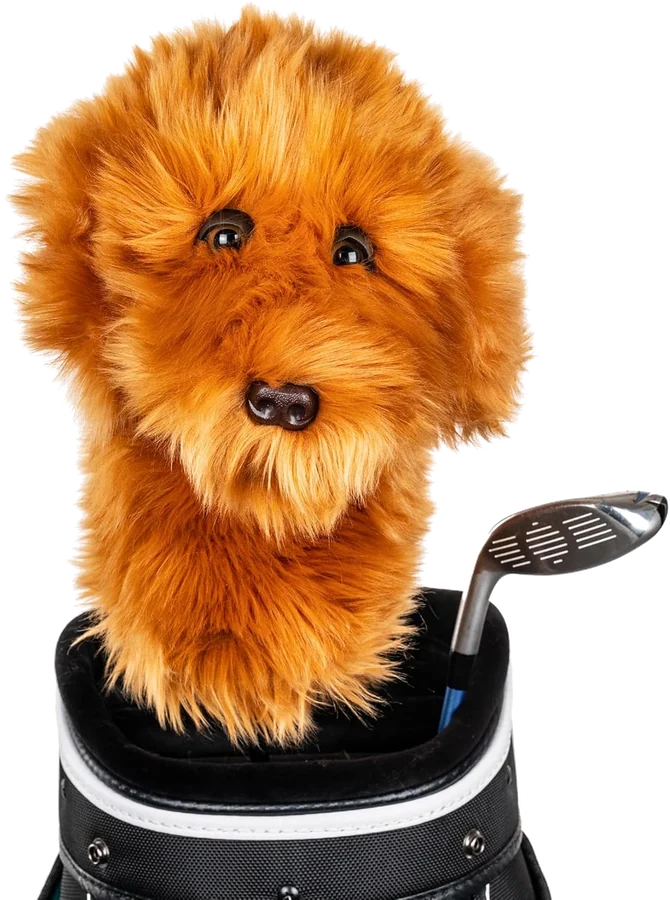Daphne's Doodle Dog Headcover